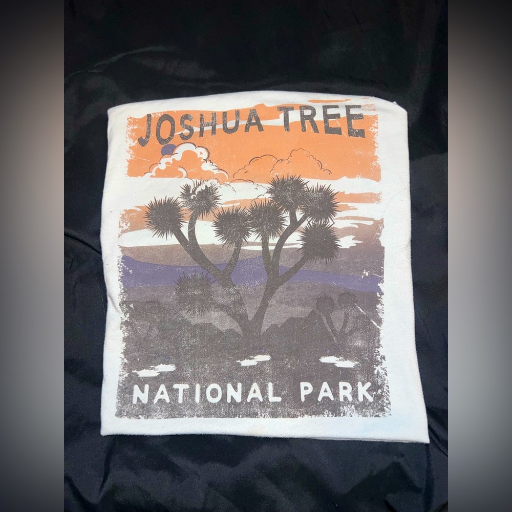 JOSHUA TREE NATIONAL PARK GRAPHIC